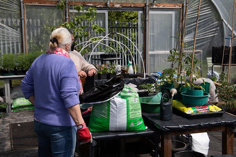 Working in the garden