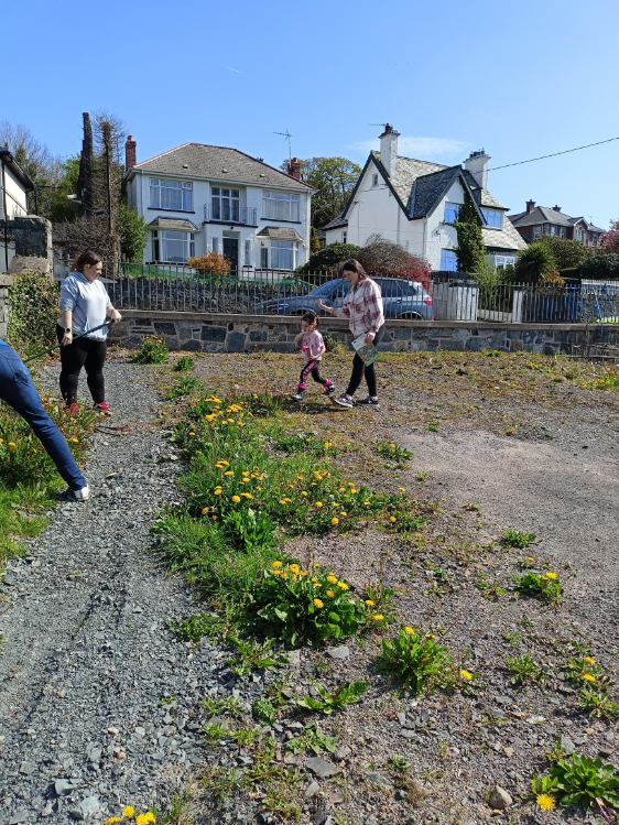 People raking and sowing wildflower beside the Ballynahinch campus