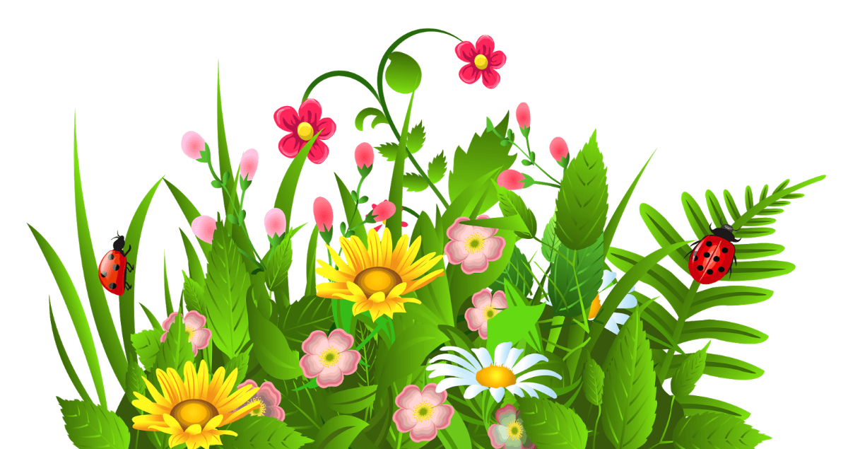 Garden clipart