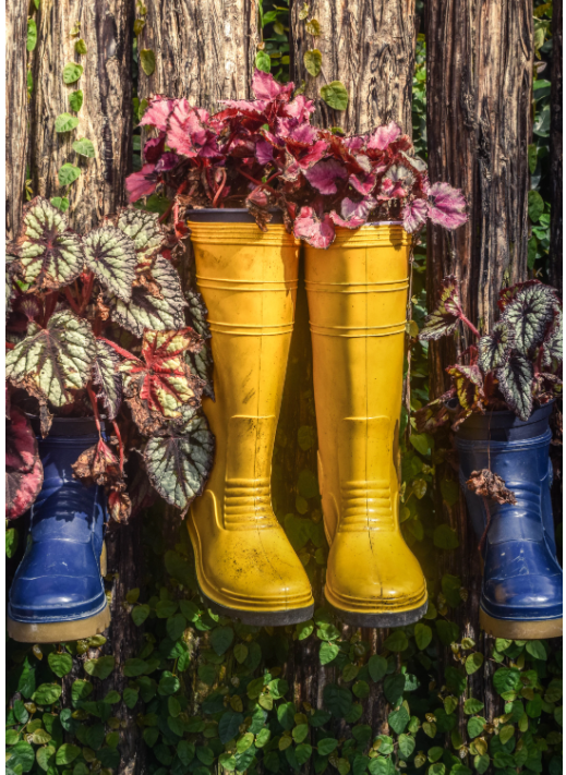 Yellow & blue welly boots with flowers inside.