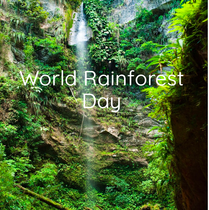 World Rainforest Day - SERC