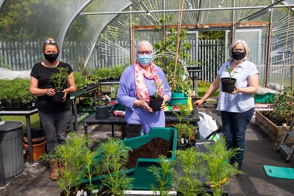 Gardners in green house