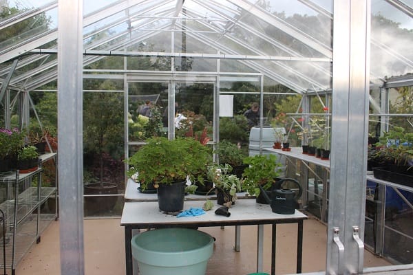 Inside the gardening greenhouse