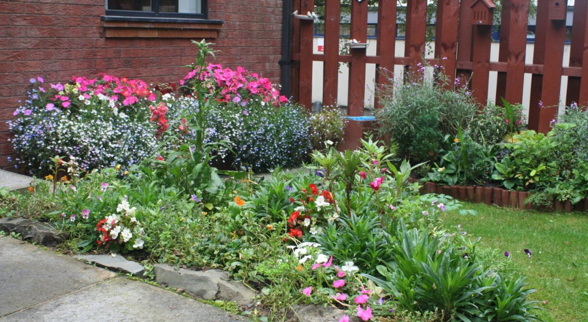 Picture of the Bangor community garden