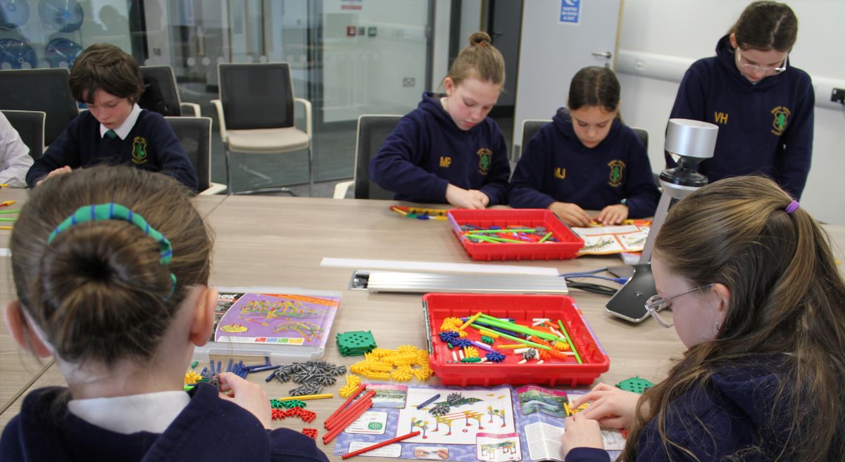 Children test bridge building skills