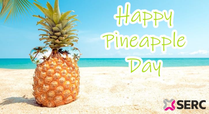 National Pineapple Day: When to Celebrate this Tropical Fruit? - Fruit ...